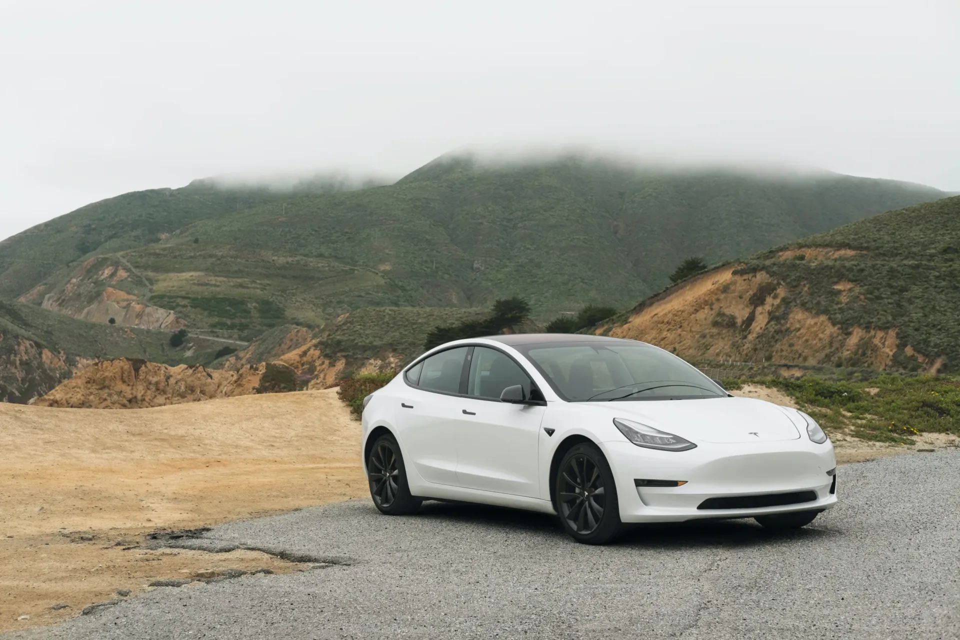 Unconventional Strategies: How Tesla Broke the Mold