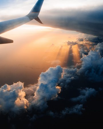 Organisational Strategy – Travel