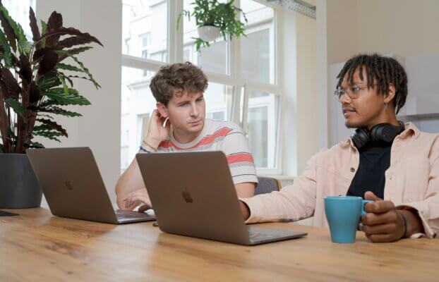 The Advantages and Disadvantages of a Share Issue