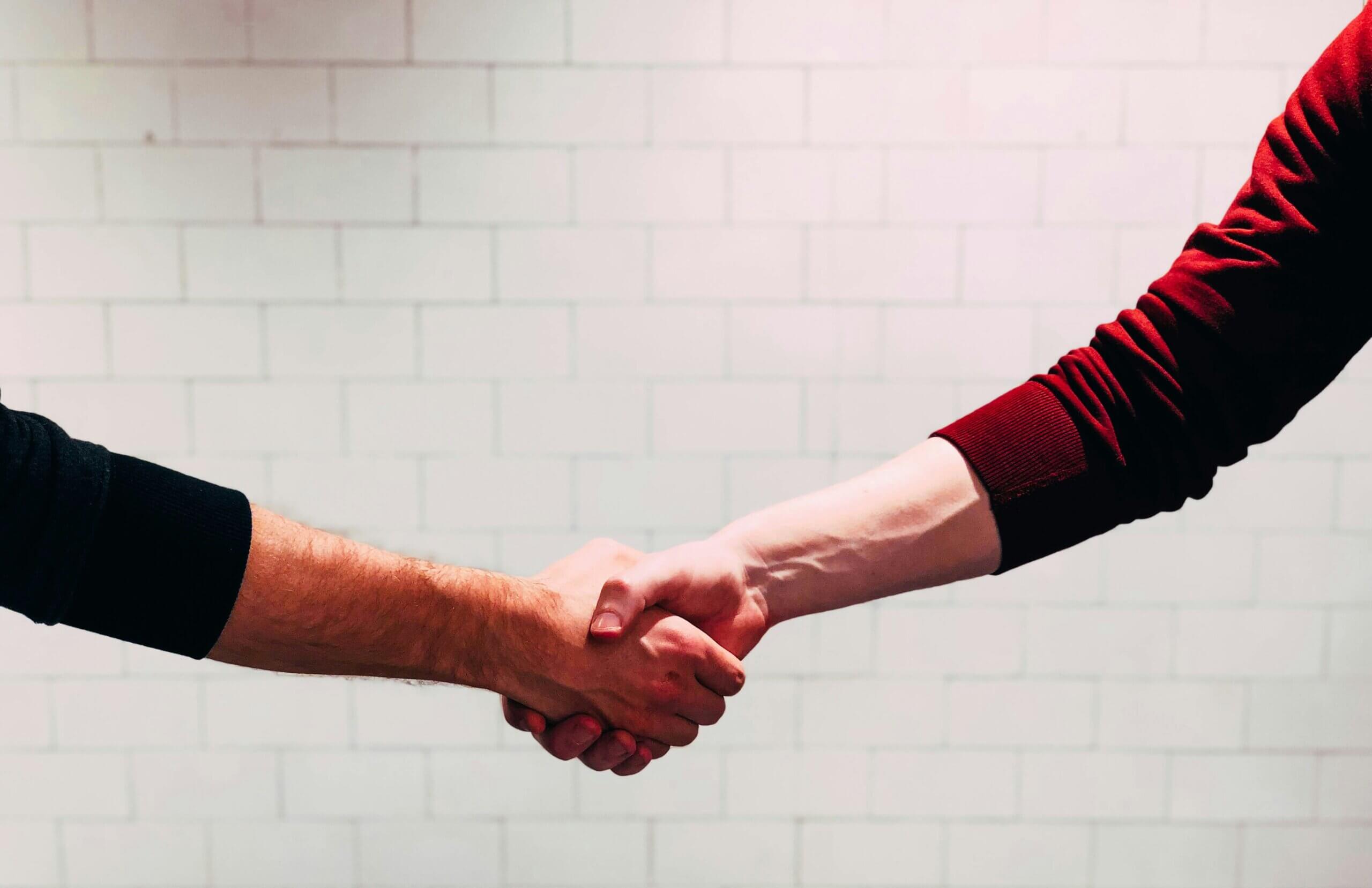 The Difference Between Share Options and Shares for Small Businesses