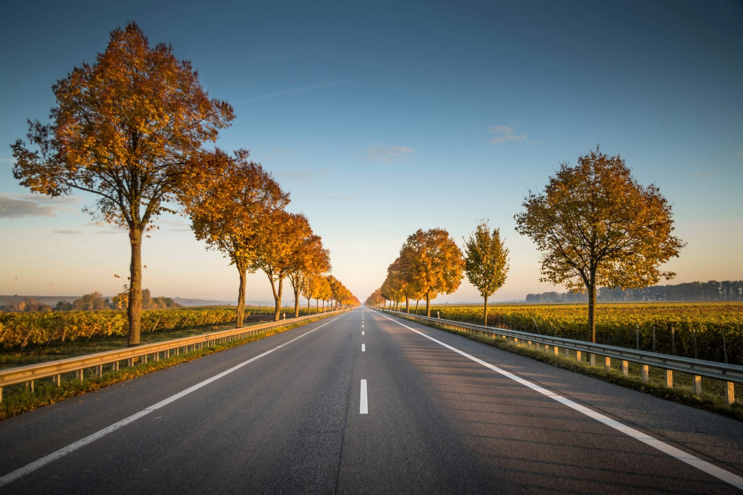 Executive Outplacement vs Traditional Career Coaching: What’s the Difference?