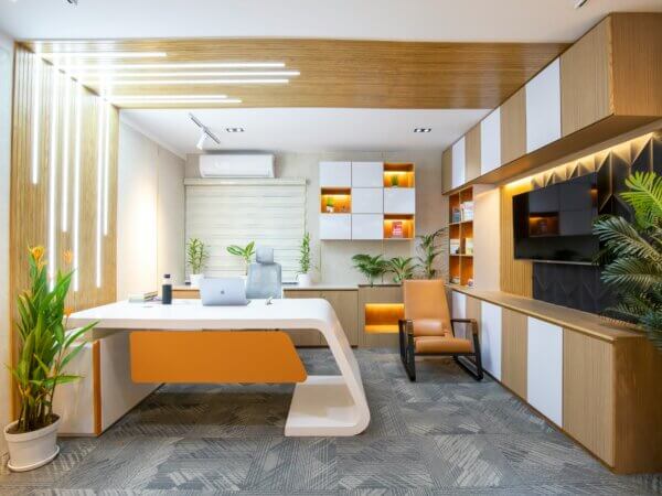 FTSE C-Suite Career Transition