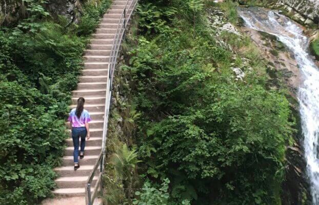 Succession Planning 2.0: Moving from Crisis Management to Continuous Development