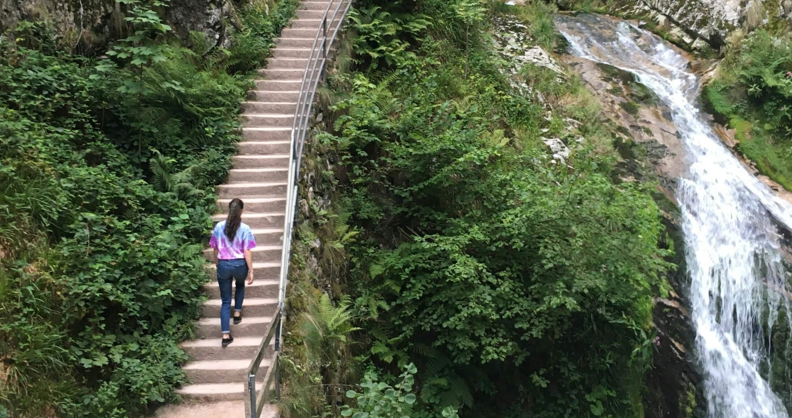 Succession Planning 2.0: Moving from Crisis Management to Continuous Development